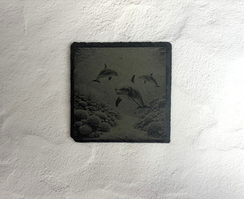 Dolphins Swimming Slate coaster